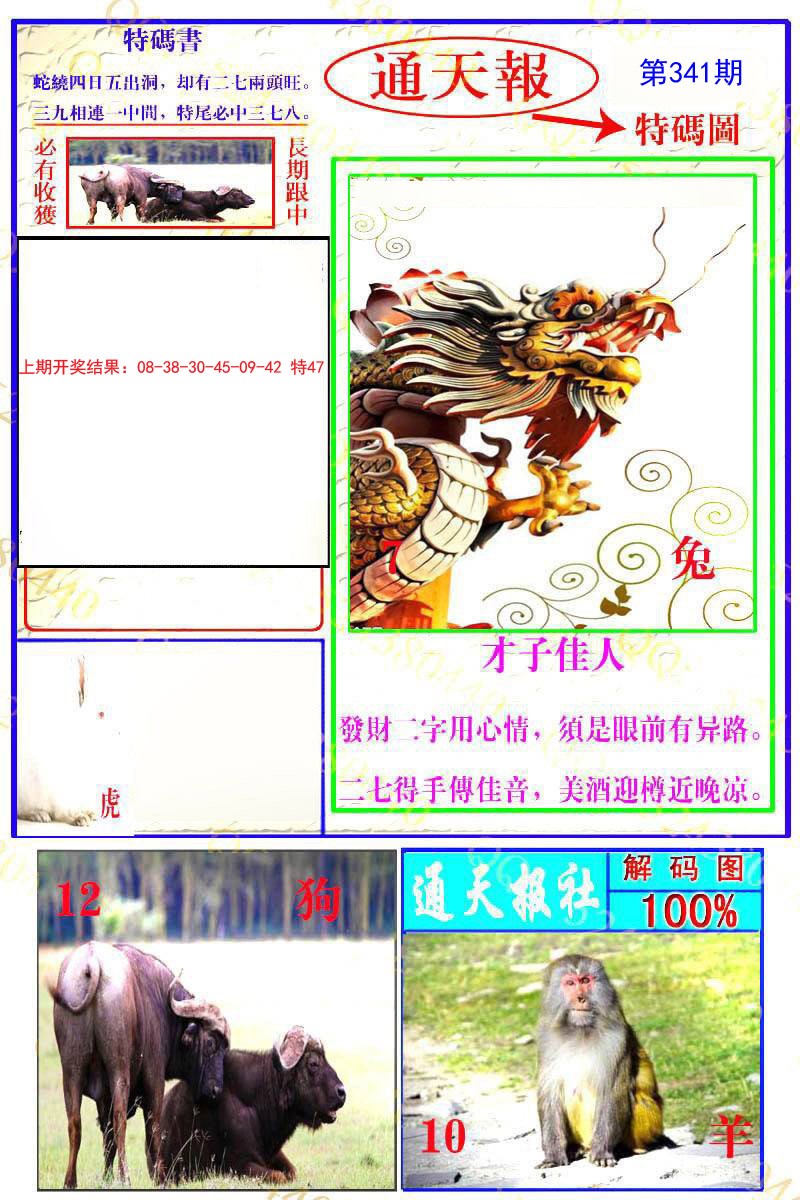 2024341期通天特解图