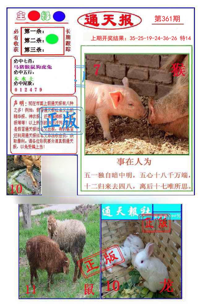 2024361期通天杀波图1