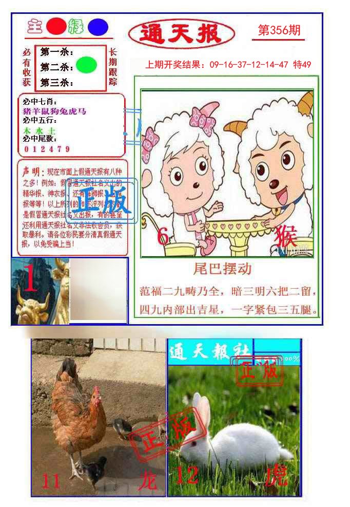 2024356期通天杀波图1