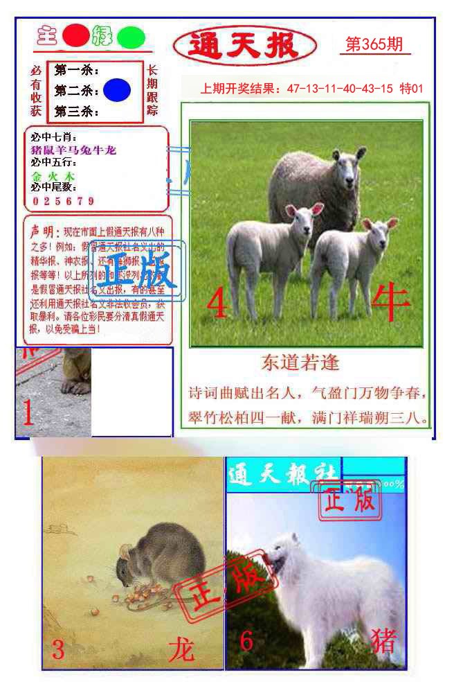 2024365期通天杀波图1