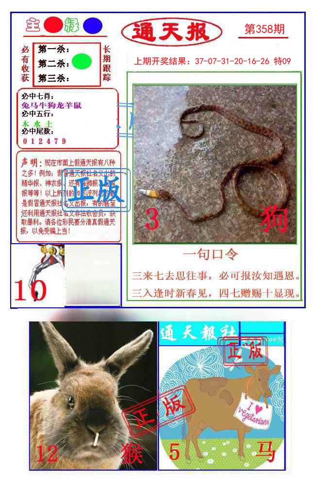 2024358期通天杀波图1