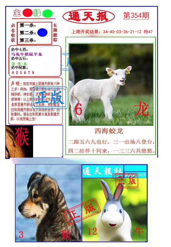 2024354期通天杀波图1