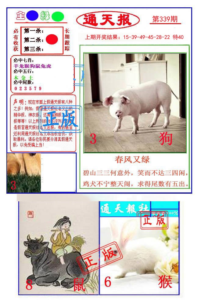 2024339期通天杀波图1