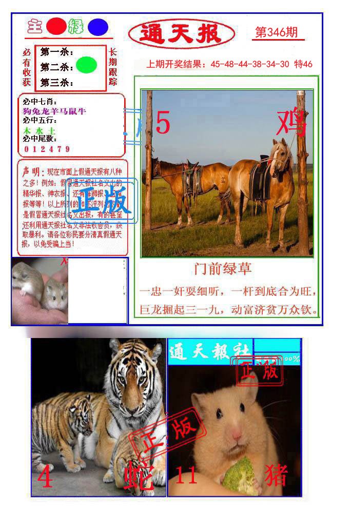 2024346期通天杀波图1