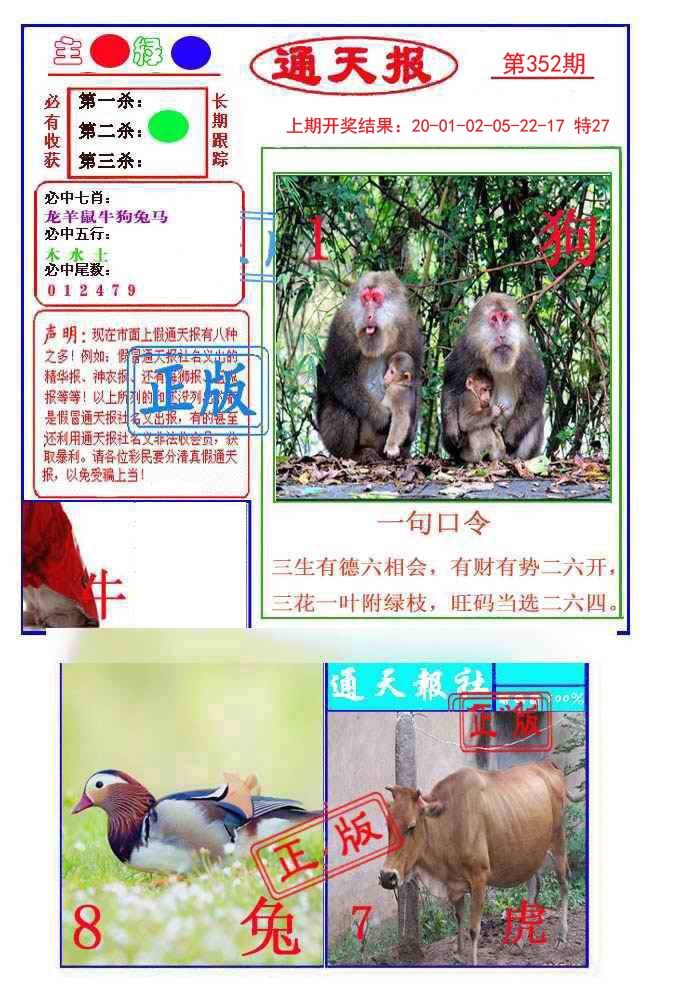 2024352期通天杀波图1