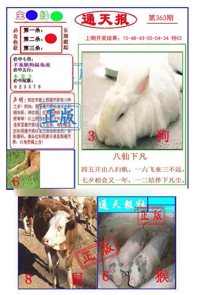 2024363期通天杀波图1