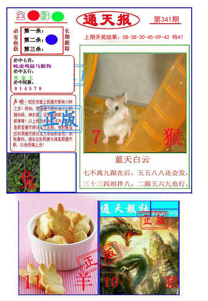 2024341期通天杀波图1