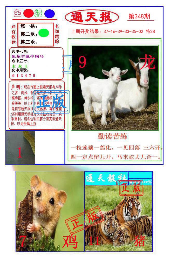 2024348期通天杀波图1