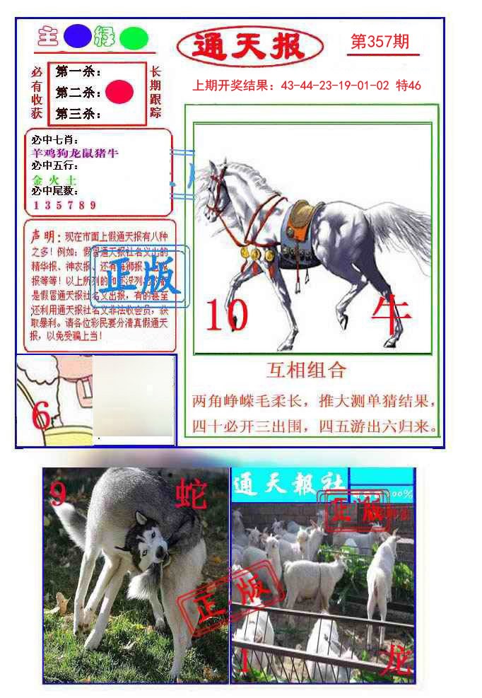2024357期通天杀波图1