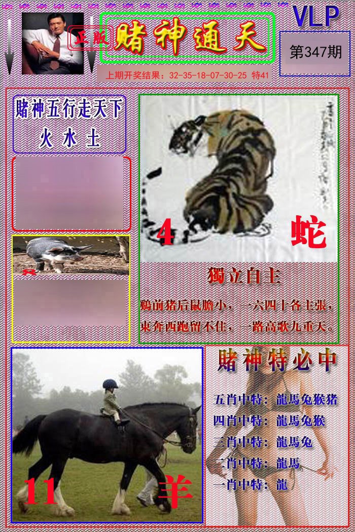 2024347期赌神通天报