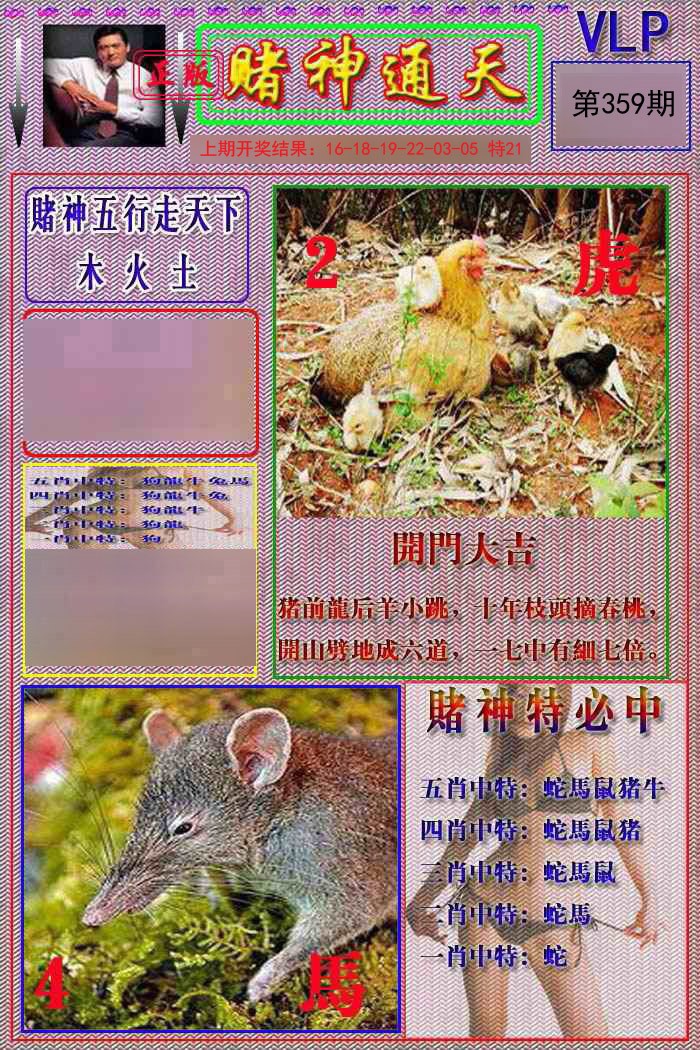 2024359期赌神通天报