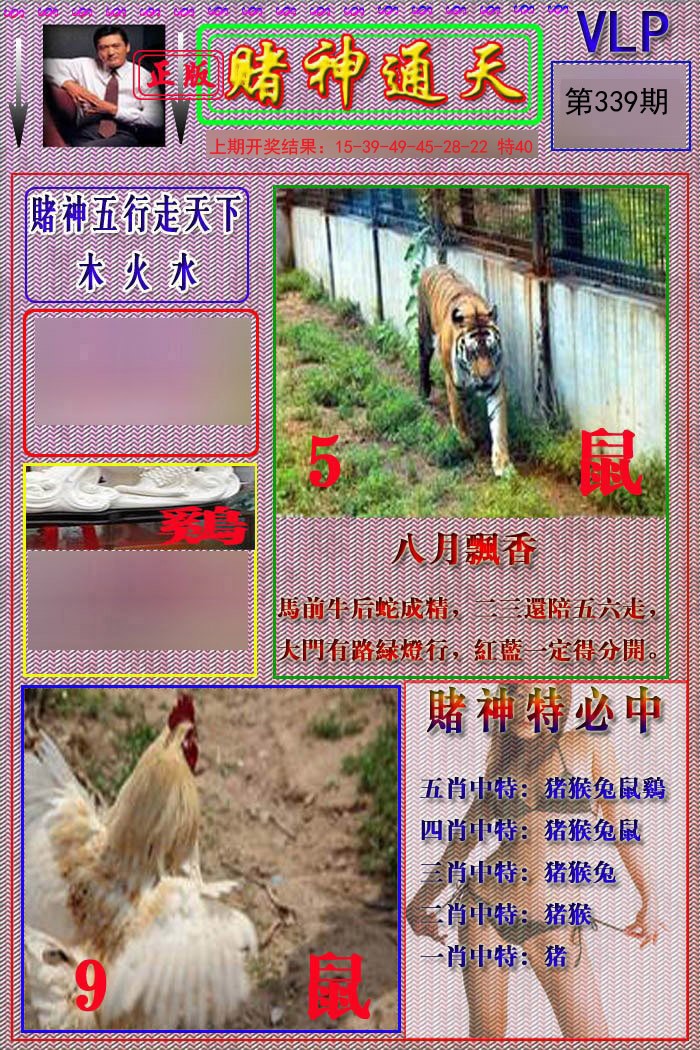 2024339期赌神通天报