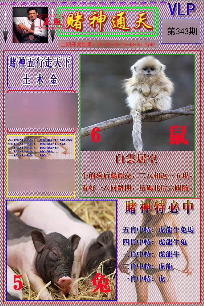 2024343期赌神通天报
