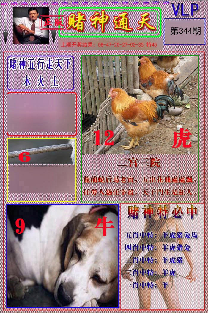 2024344期赌神通天报