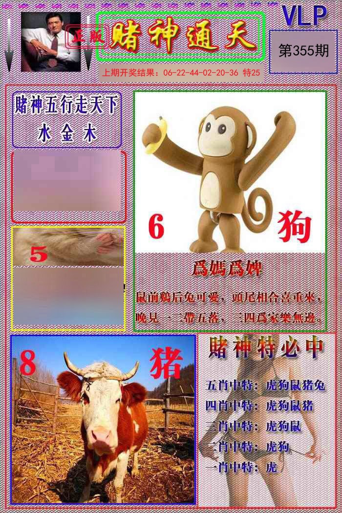 2024355期赌神通天报