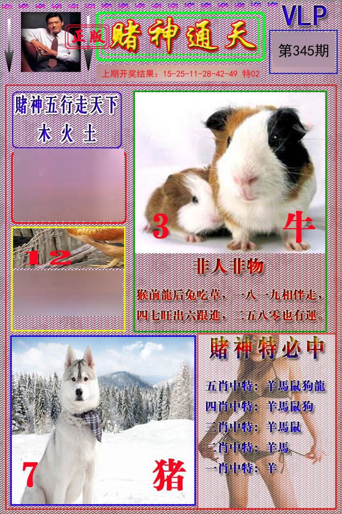 2024345期赌神通天报