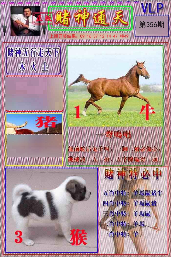 2024356期赌神通天报