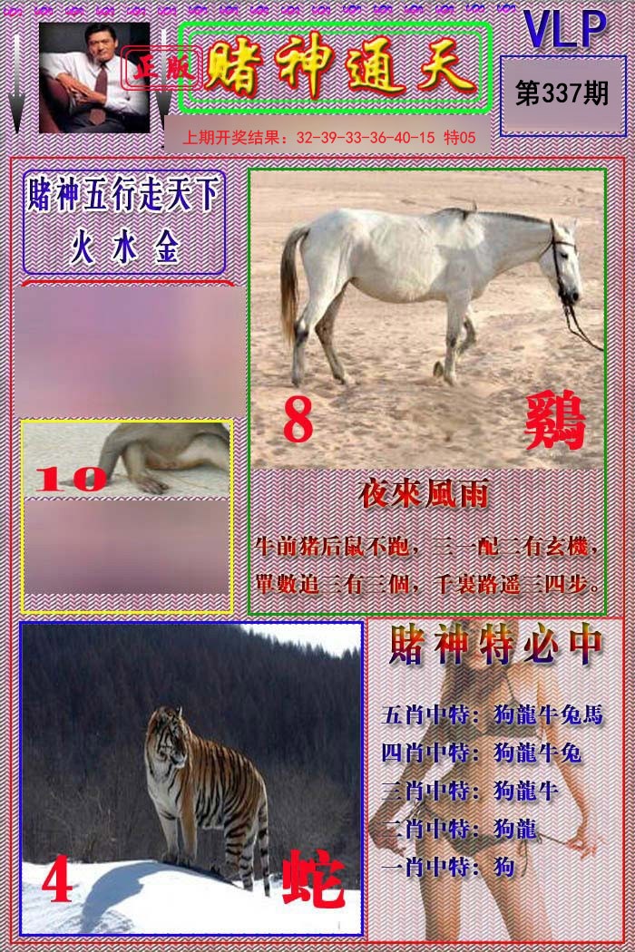 2024337期赌神通天报