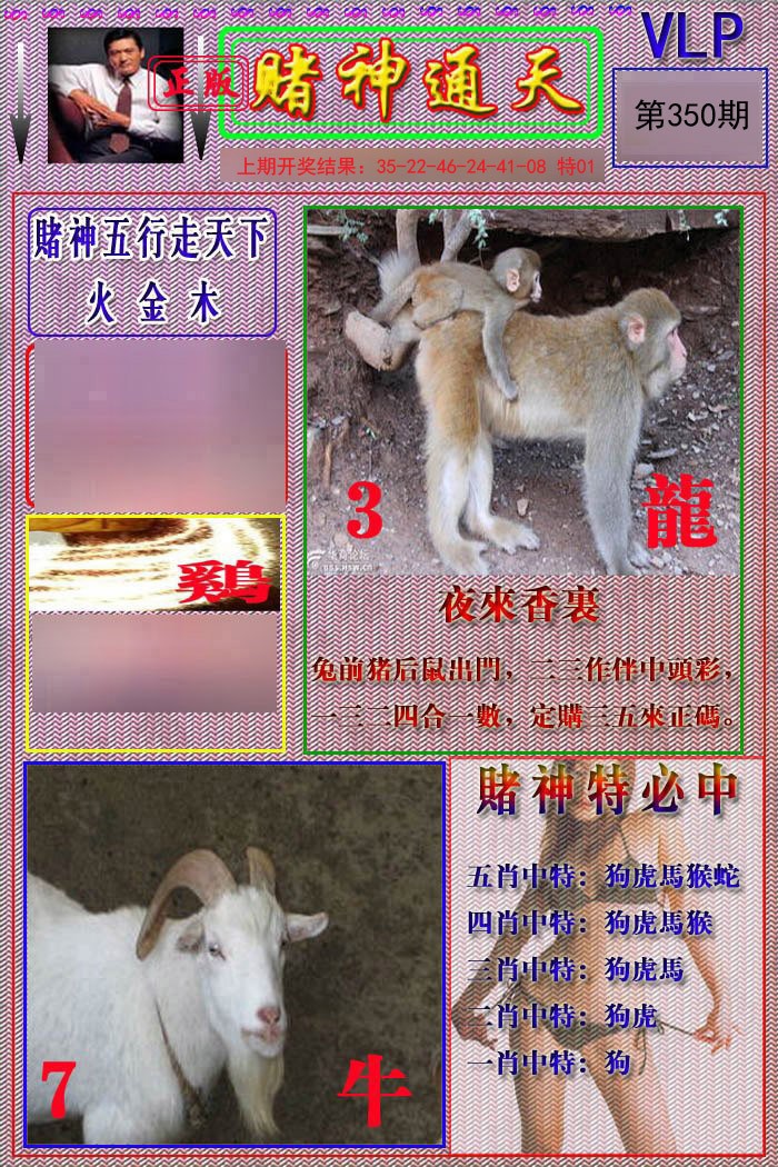 2024350期赌神通天报