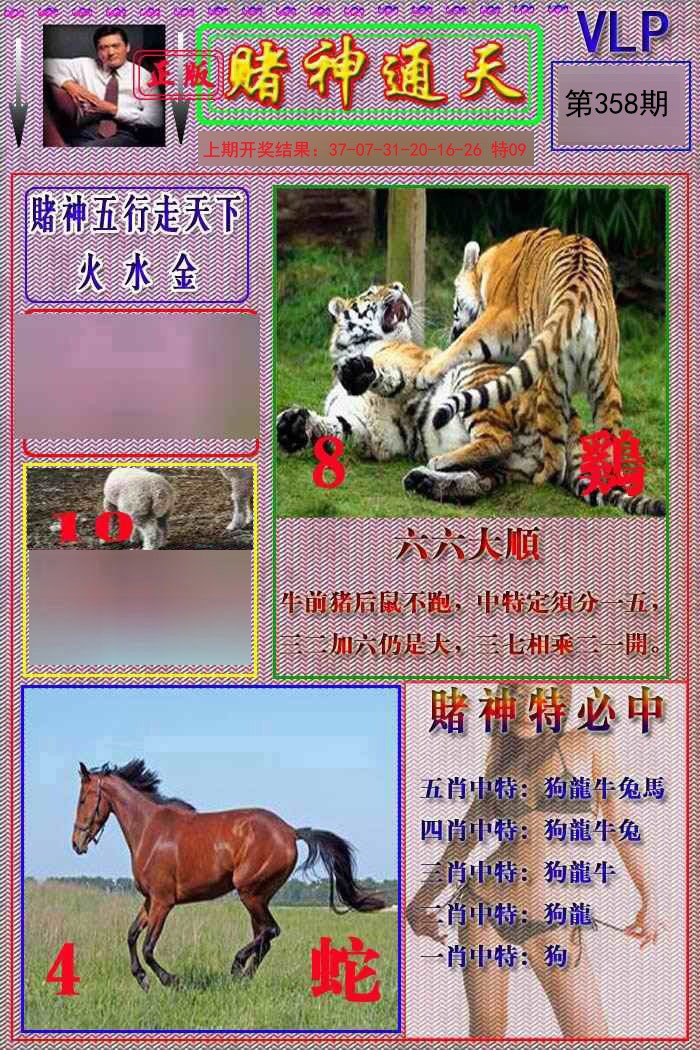 2024358期赌神通天报