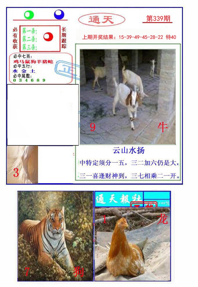 2024339期通天杀波图2