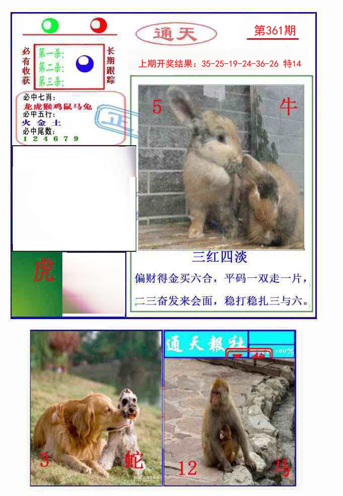 2024361期通天杀波图2