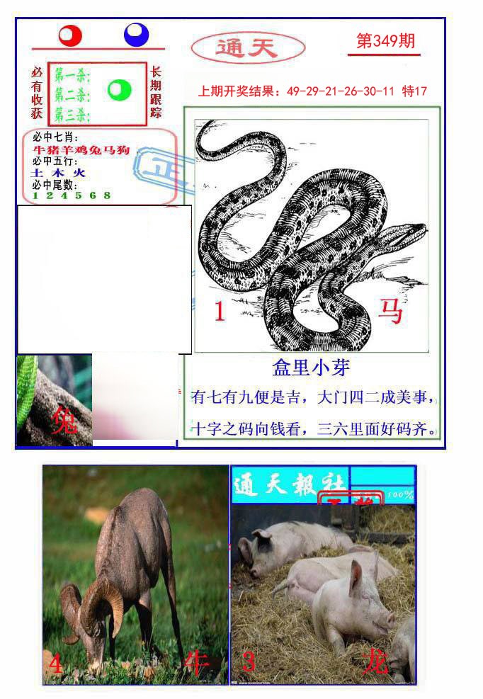 2024349期通天杀波图2