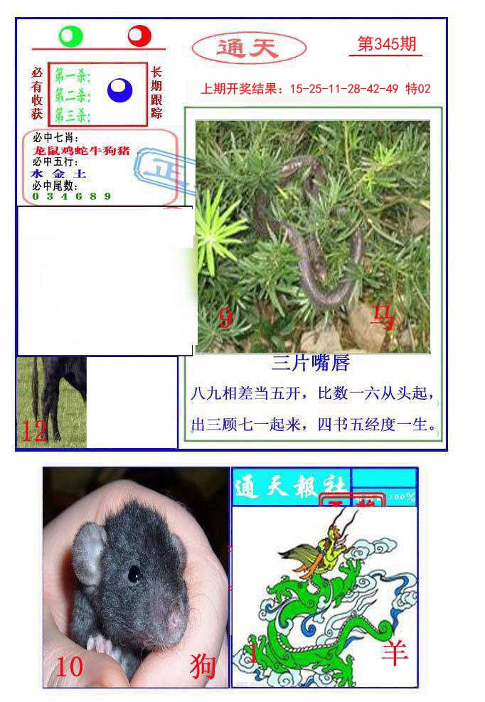2024345期通天杀波图2