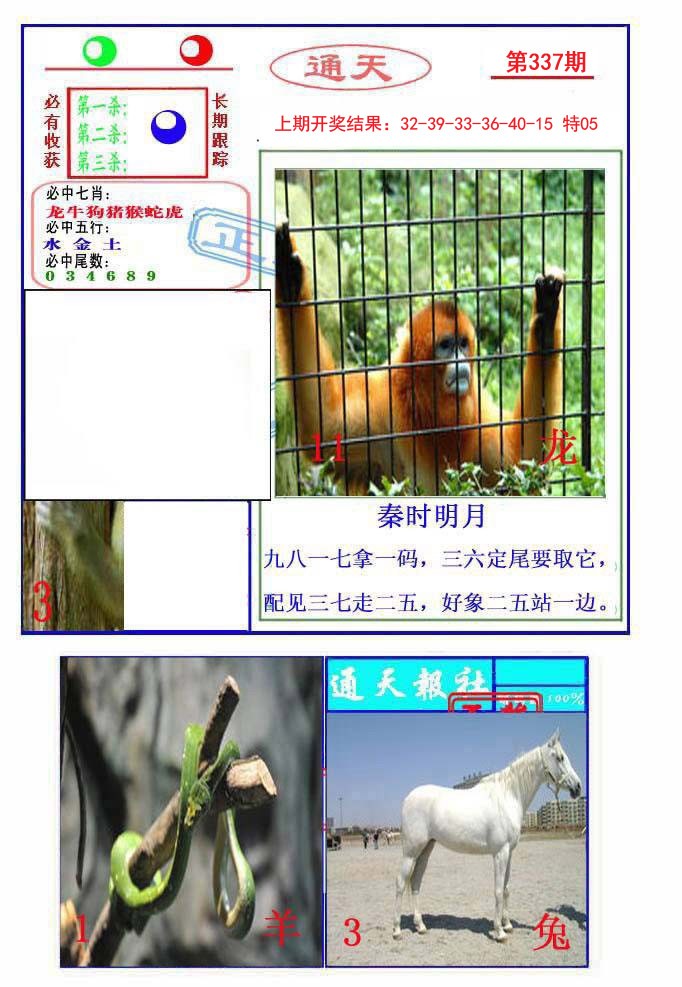 2024337期通天杀波图2