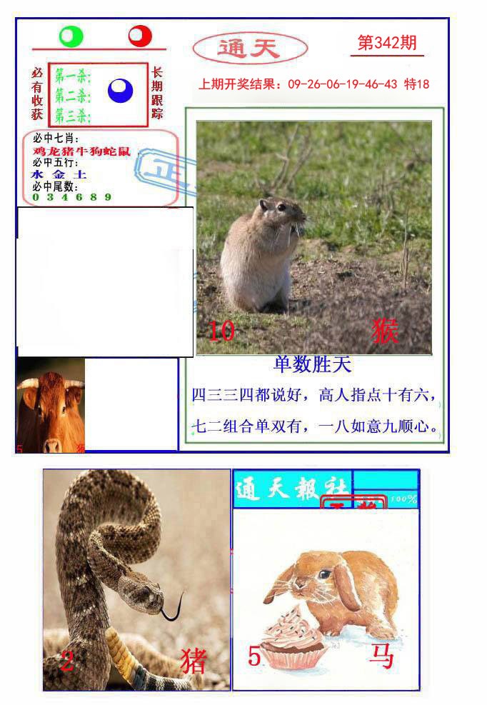 2024342期通天杀波图2