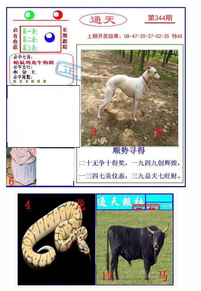 2024344期通天杀波图2