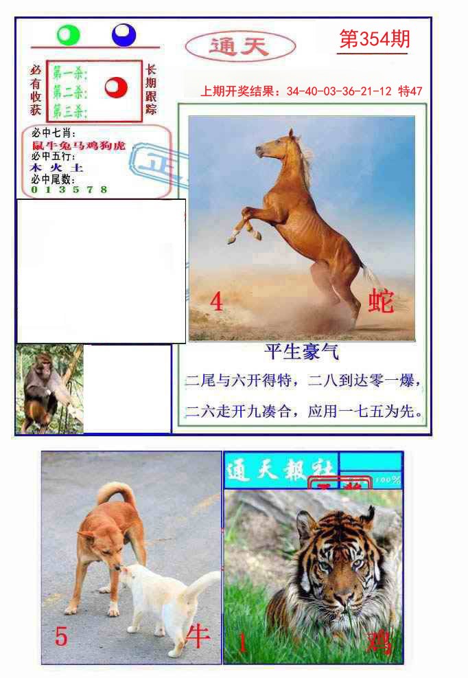 2024354期通天杀波图2