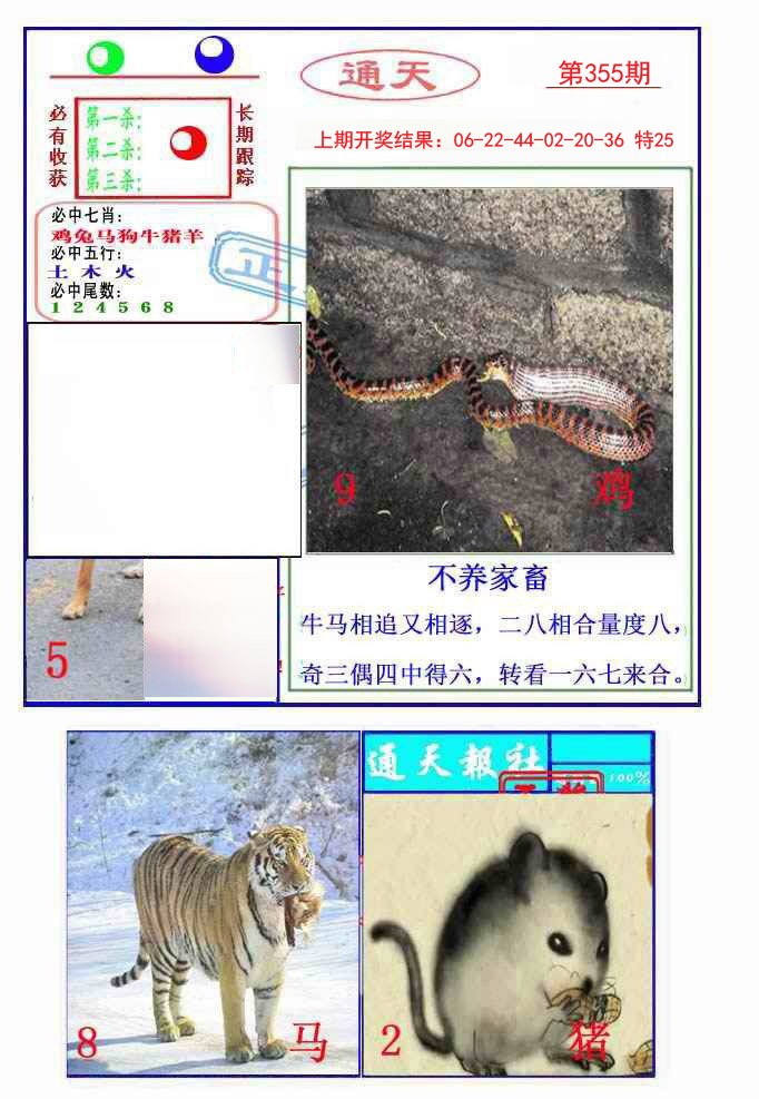 2024355期通天杀波图2