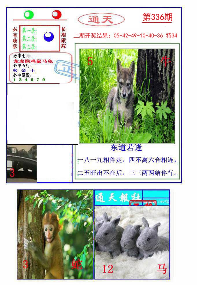 2024336期通天杀波图2