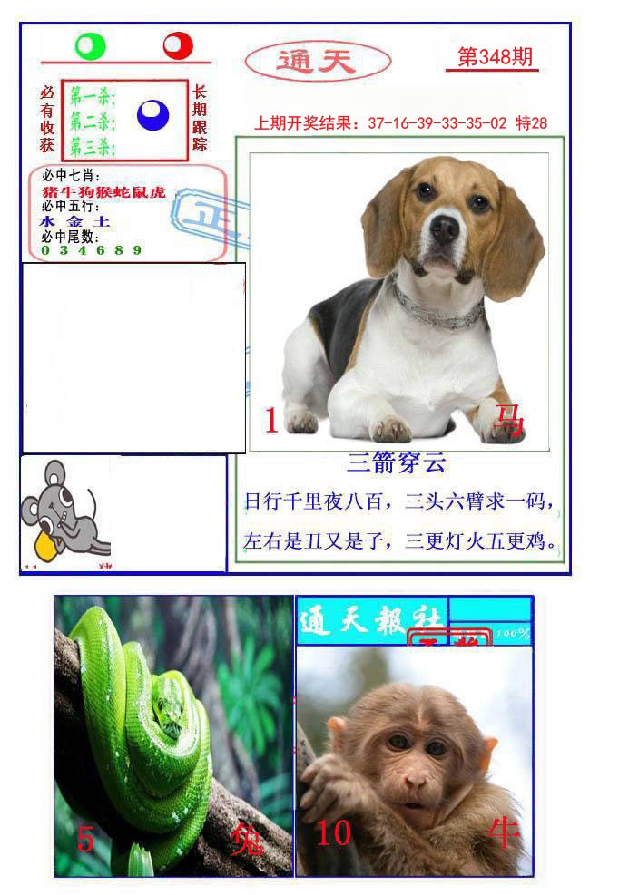 2024348期通天杀波图2