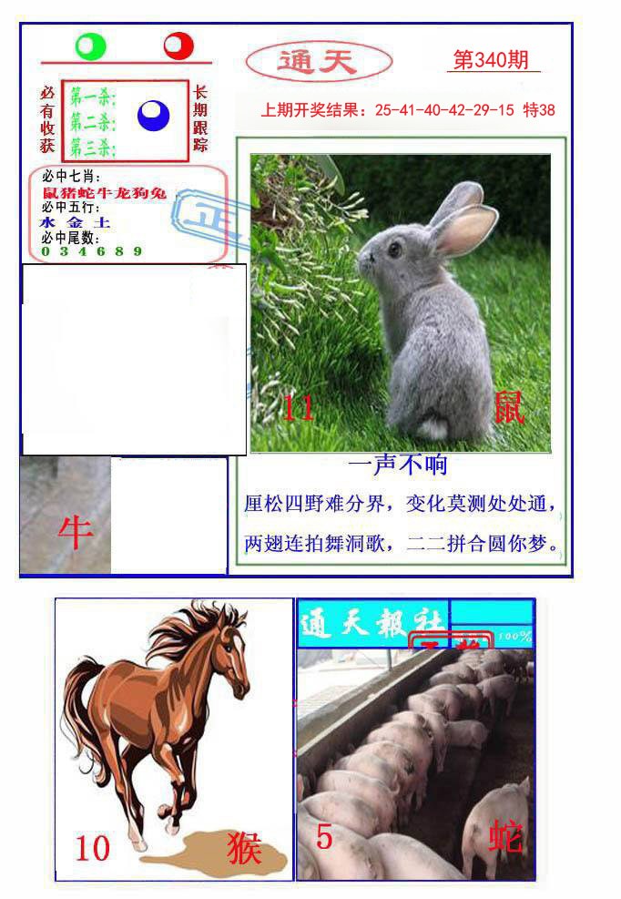 2024340期通天杀波图2