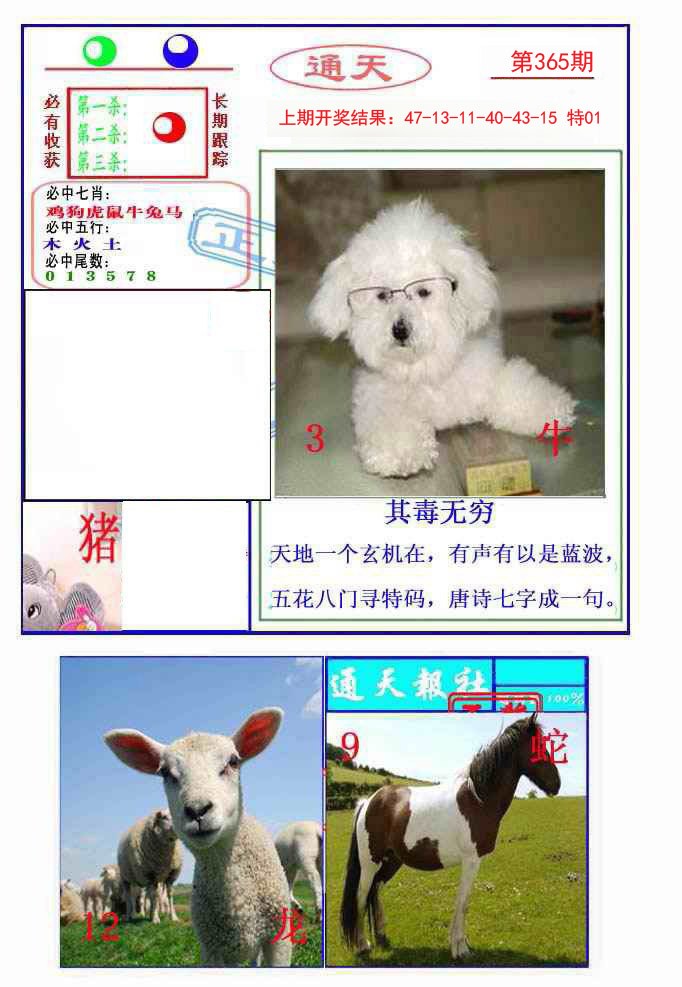 2024365期通天杀波图2