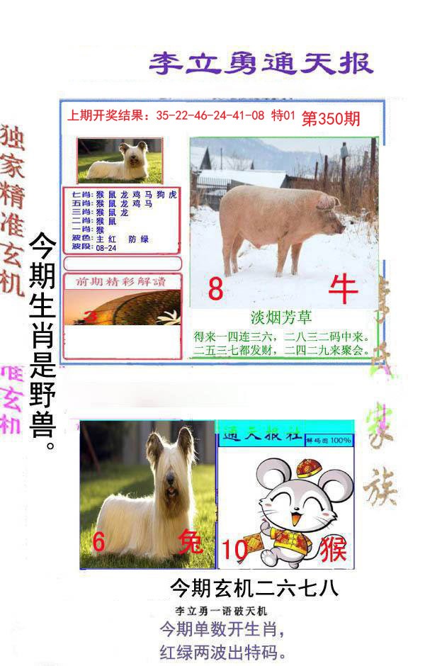 2024350期李立勇通天报