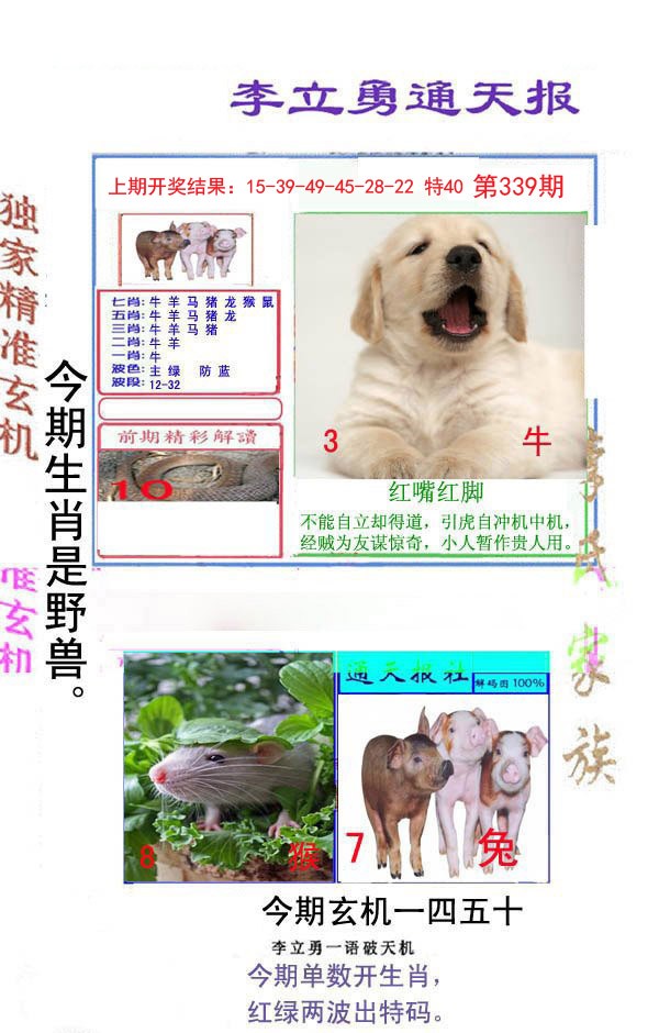 2024339期李立勇通天报