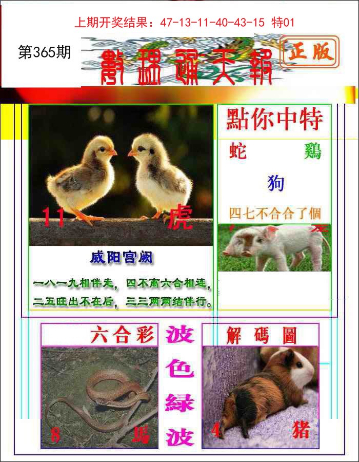 2024365期数理通天