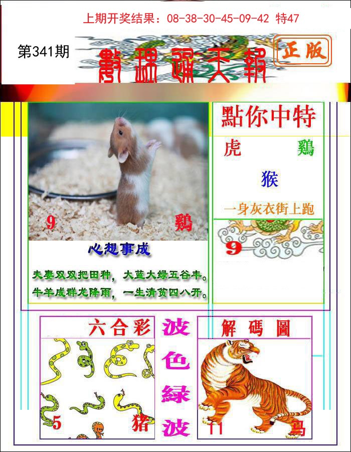 2024341期数理通天
