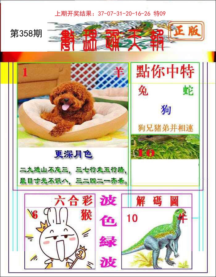 2024358期数理通天