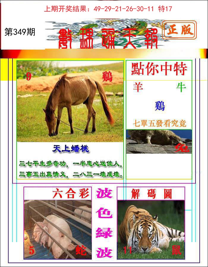 2024349期数理通天