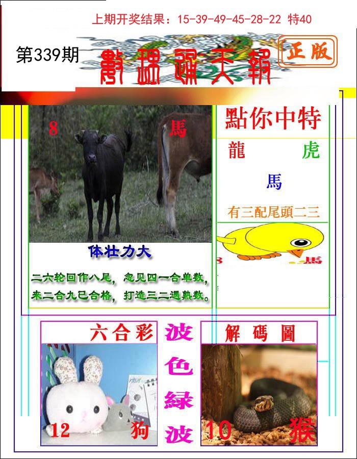 2024339期数理通天
