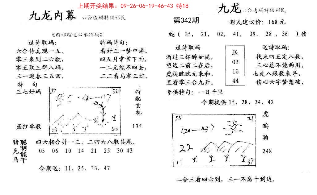 2024342期九龙内幕