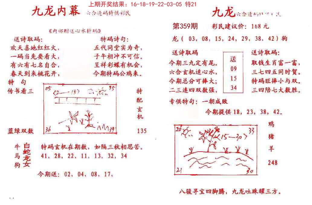 2024359期九龙内幕