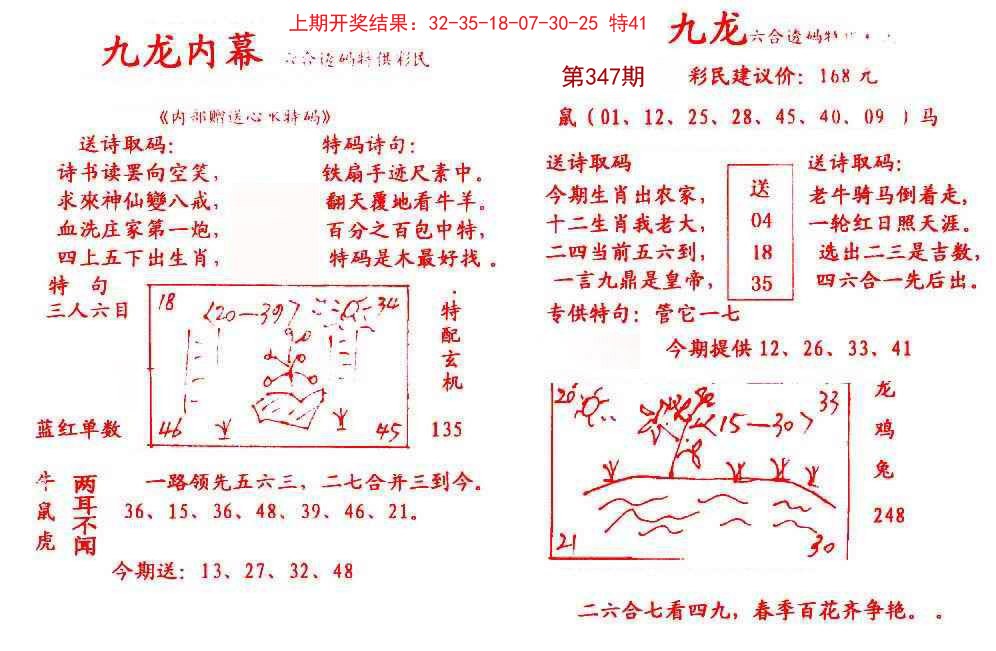 2024347期九龙内幕