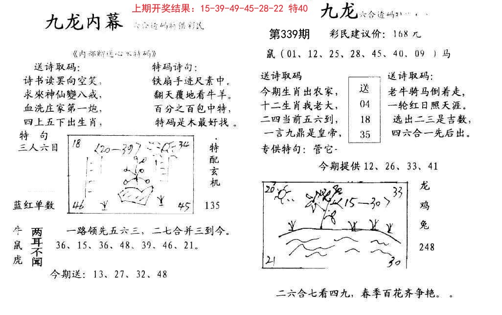 2024339期九龙内幕