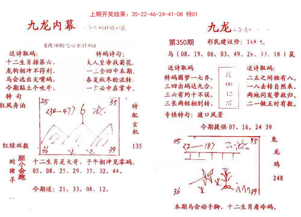 2024350期九龙内幕