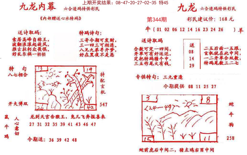 2024344期九龙内幕